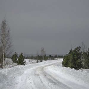 Дорога в зимнюю сказку